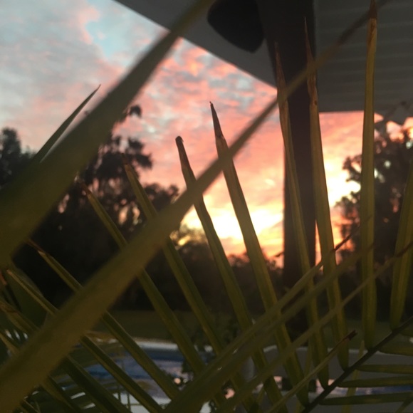 Meet your Posher, Patricia - Picture 4 of 4